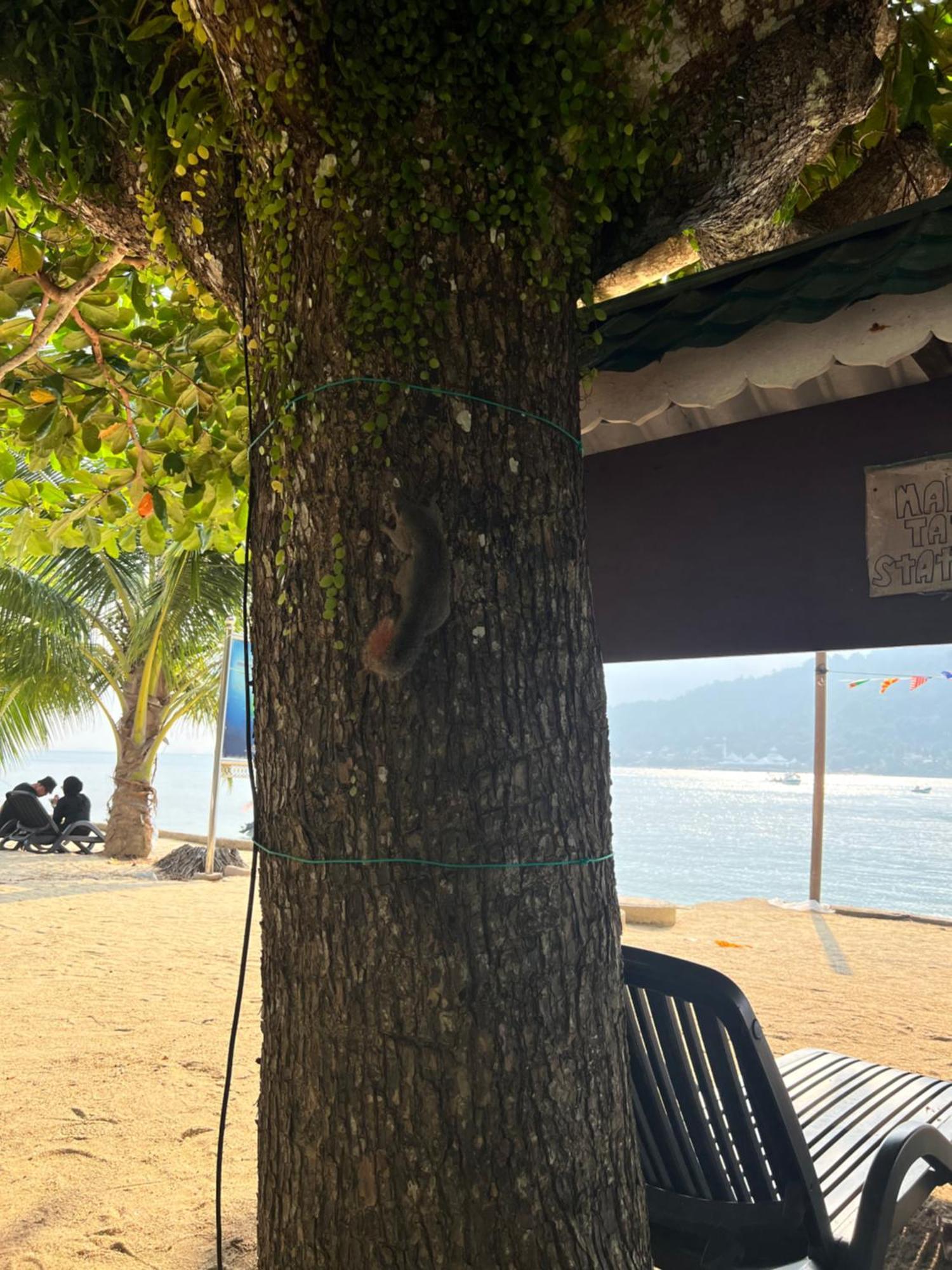 Hotel Mama's Pulau Perhentian Besar Kampong Pasir Hantu