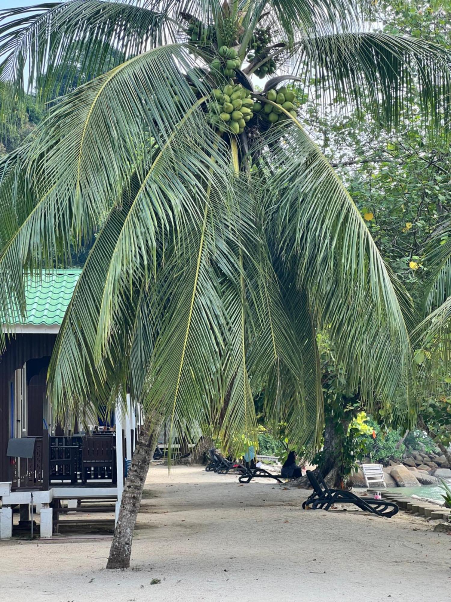 Mama's Pulau Perhentian Besar 3*