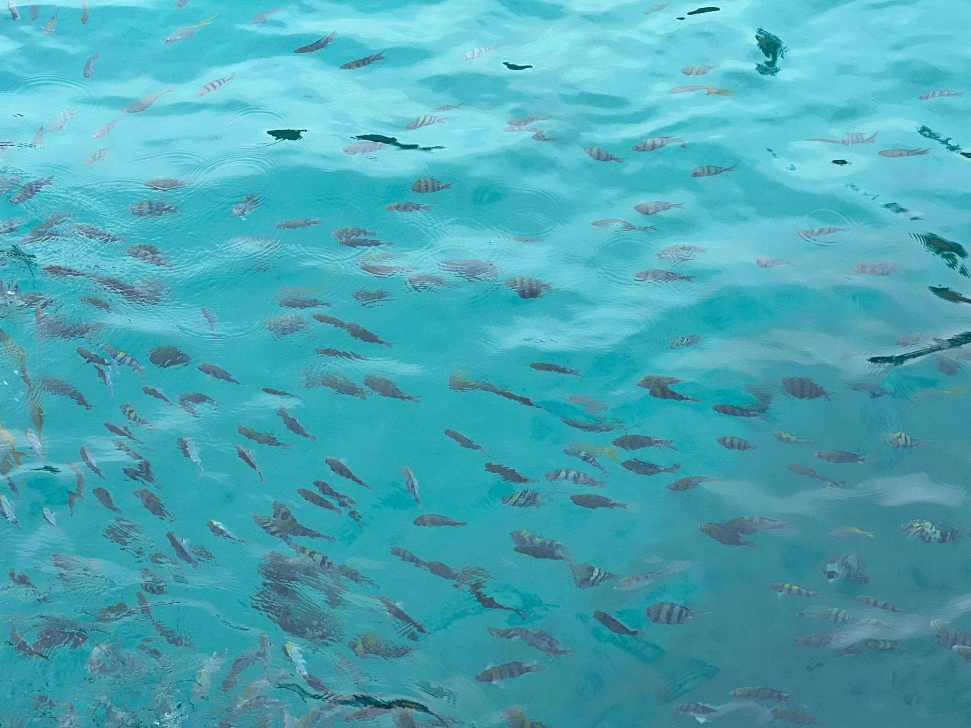 Mama's Pulau Perhentian Besar 3* Kampong Pasir Hantu